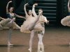 paquita-roxane-stojanov-thomas-docquir-1